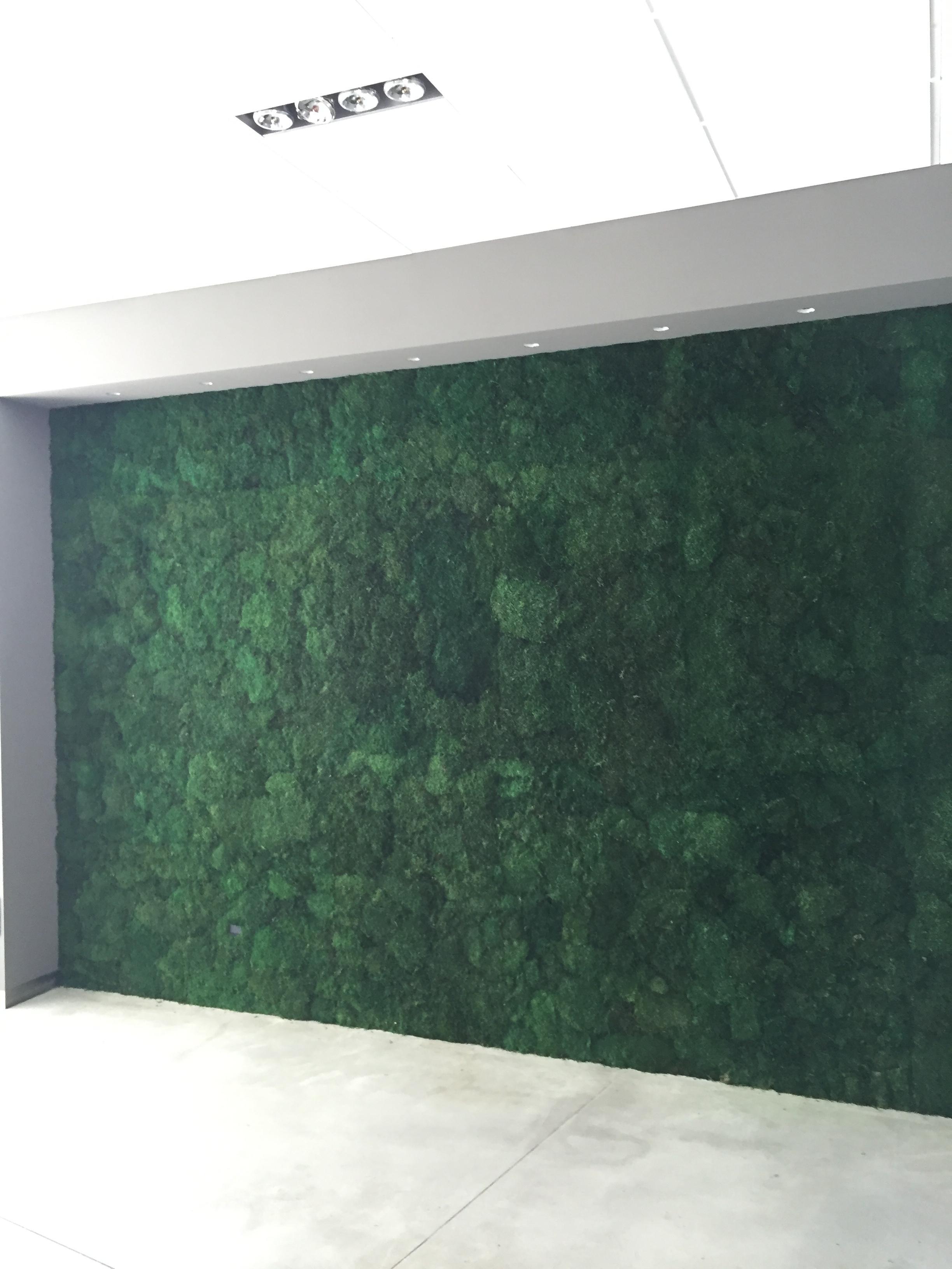 ryvesto flat moss wall fr - foto 1
