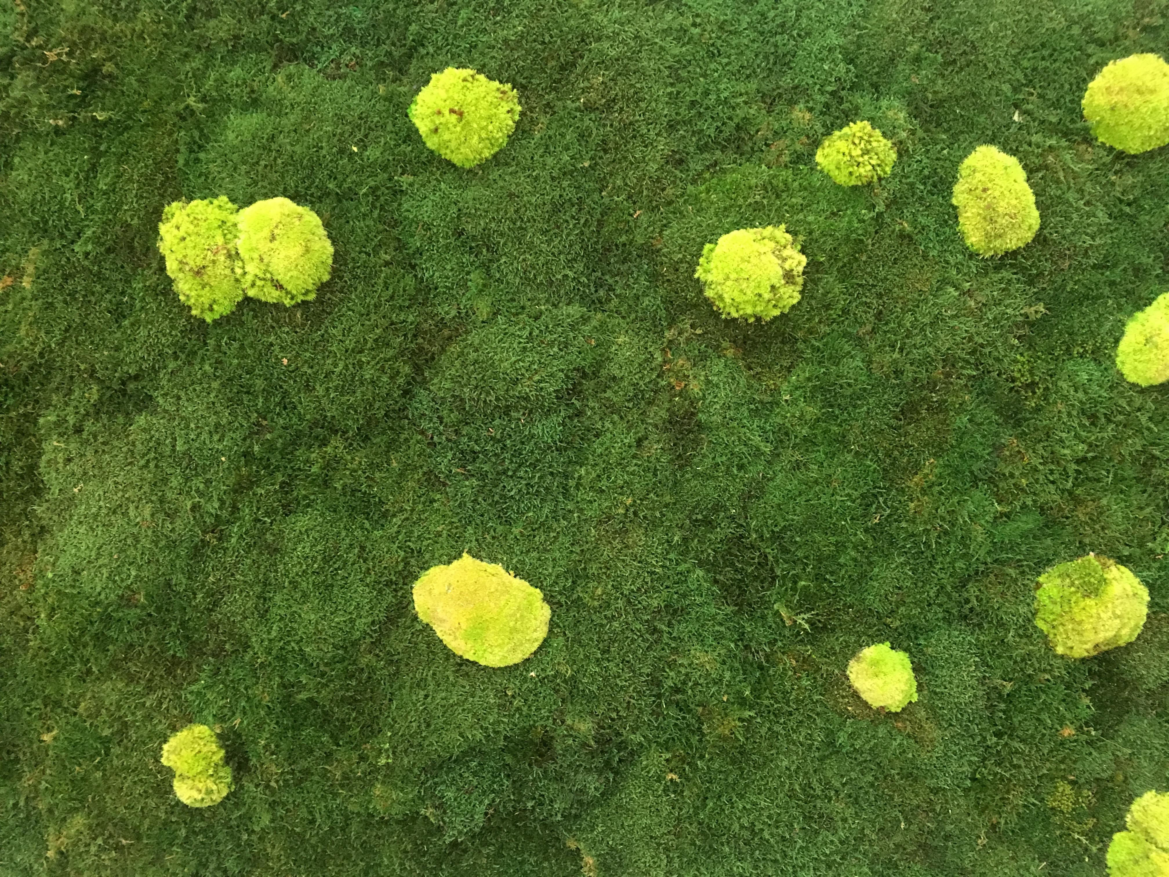 ryvesto flat moss + polemoss nature - foto 1
