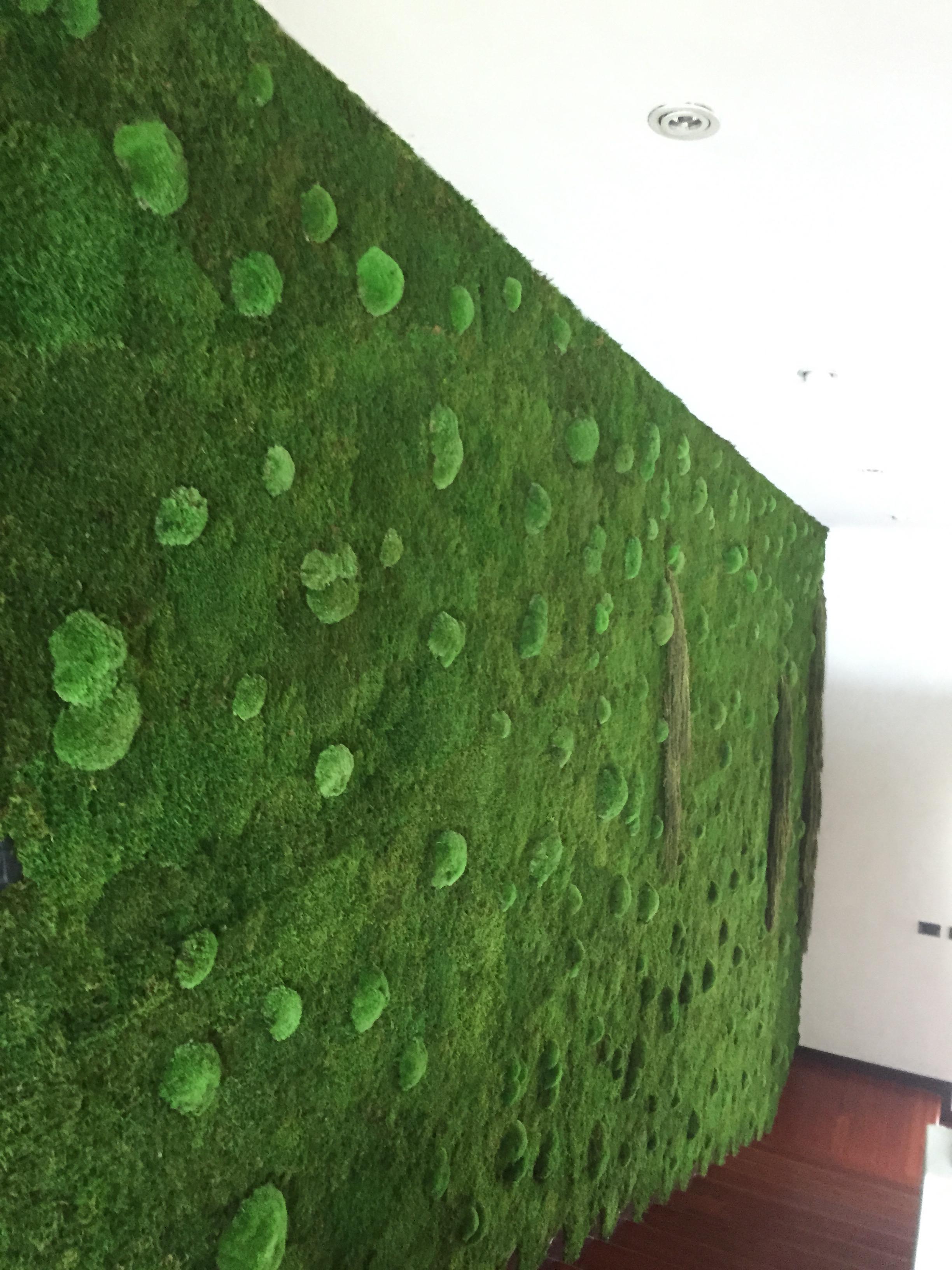 ryvesto flat moss + polemoss nature - foto 2