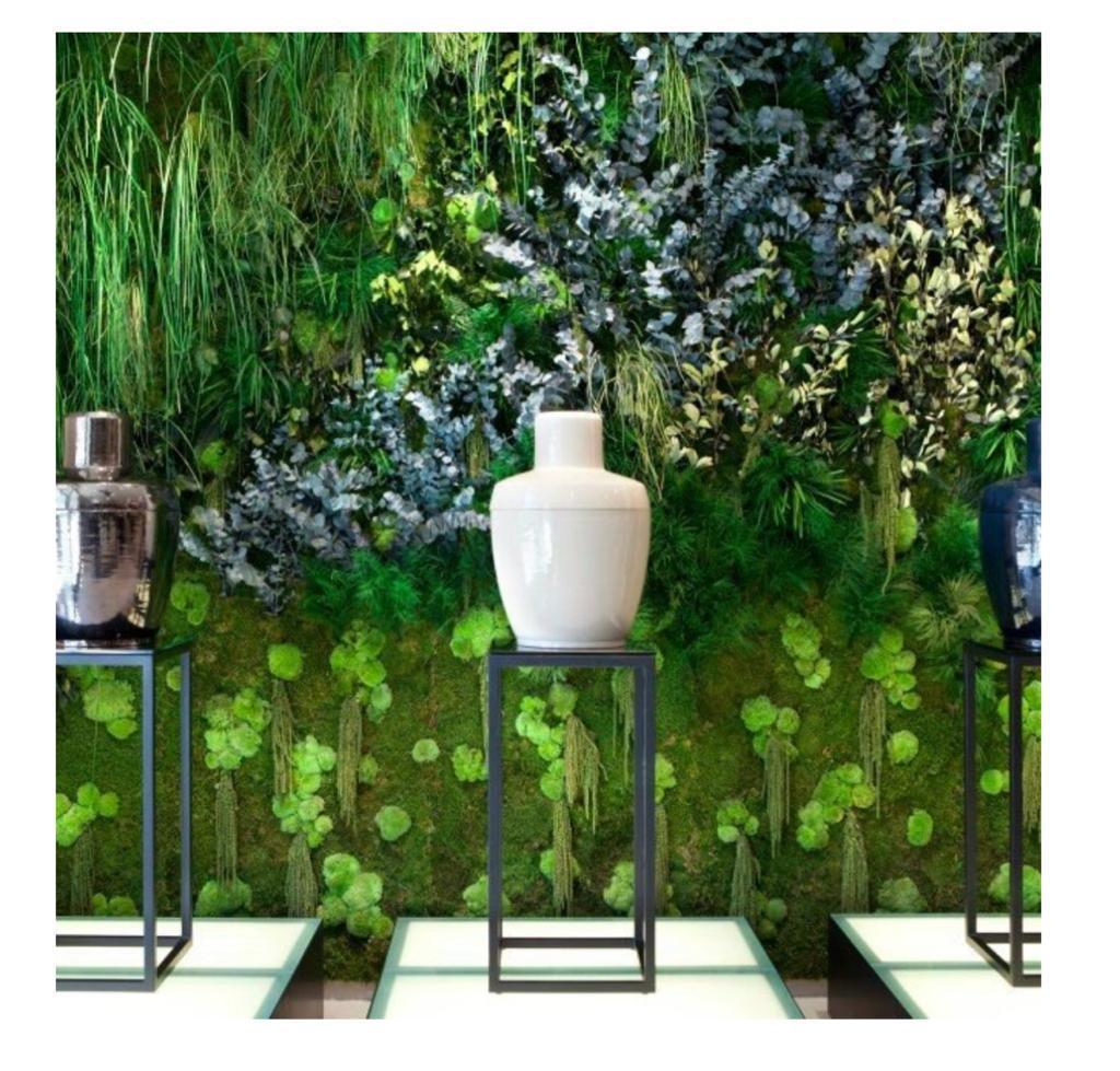 ryvesto foresta wall - foto 1