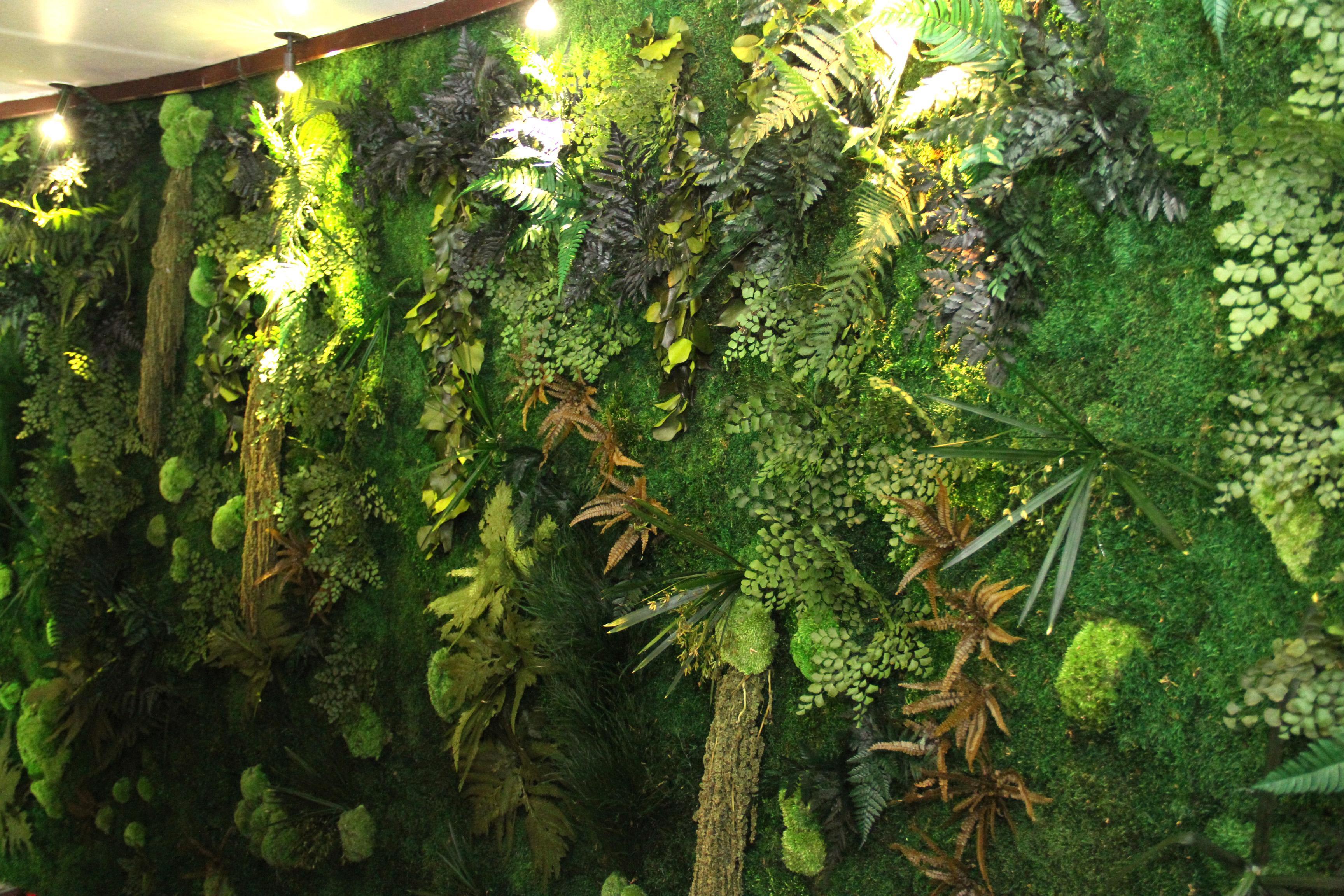 ryvesto foresta wall - foto 2