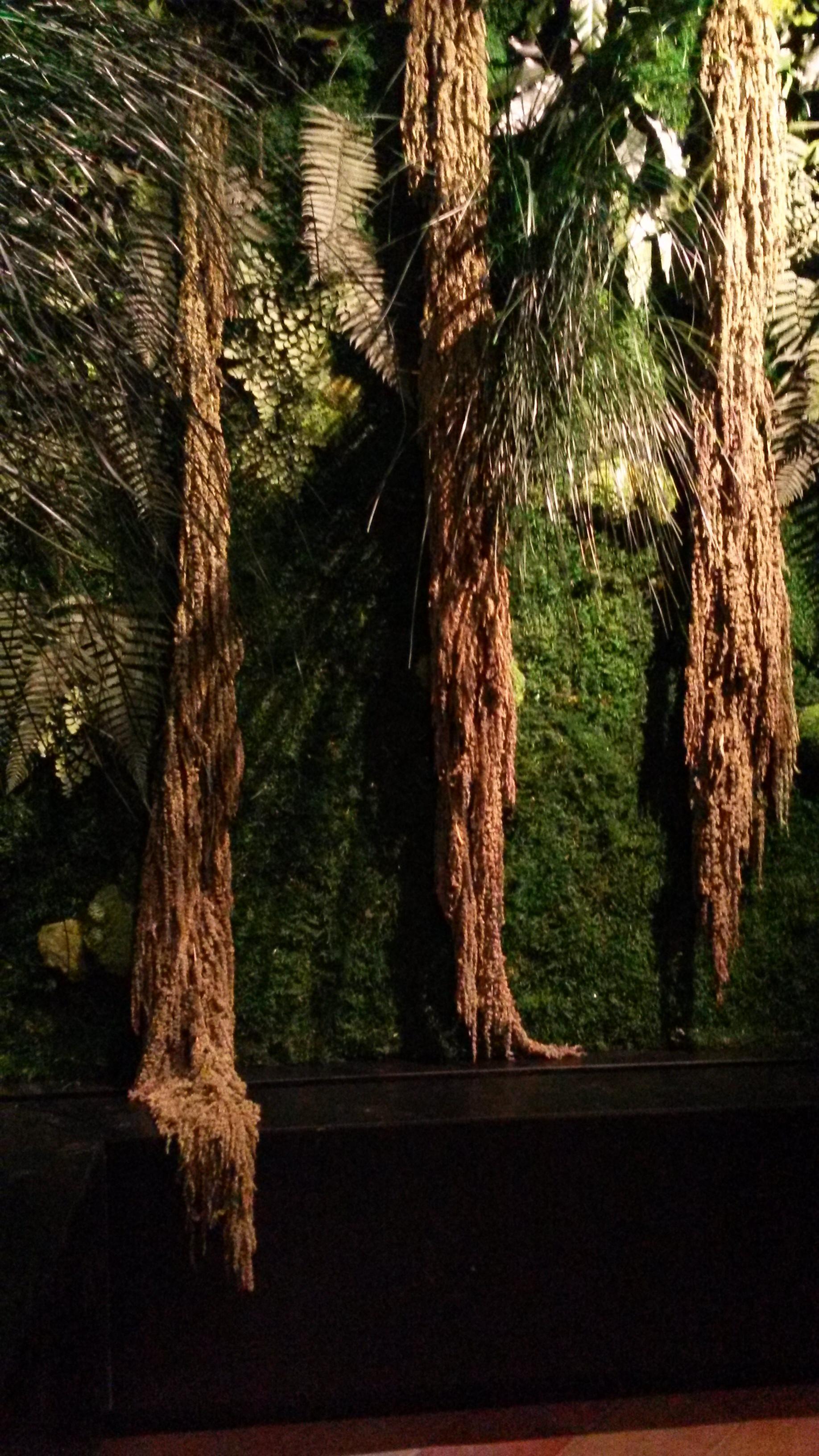 ryvesto foresta wall - foto 3