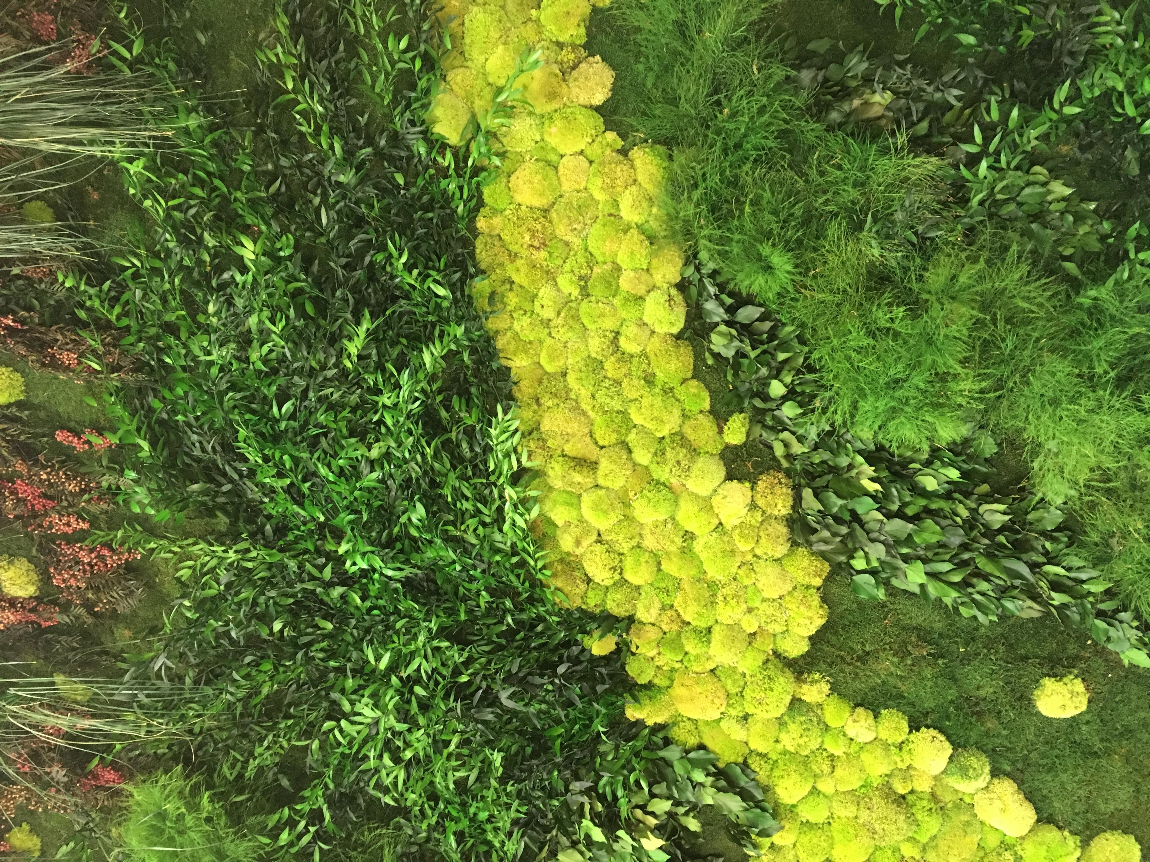 ryvesto foresta wall - foto 4