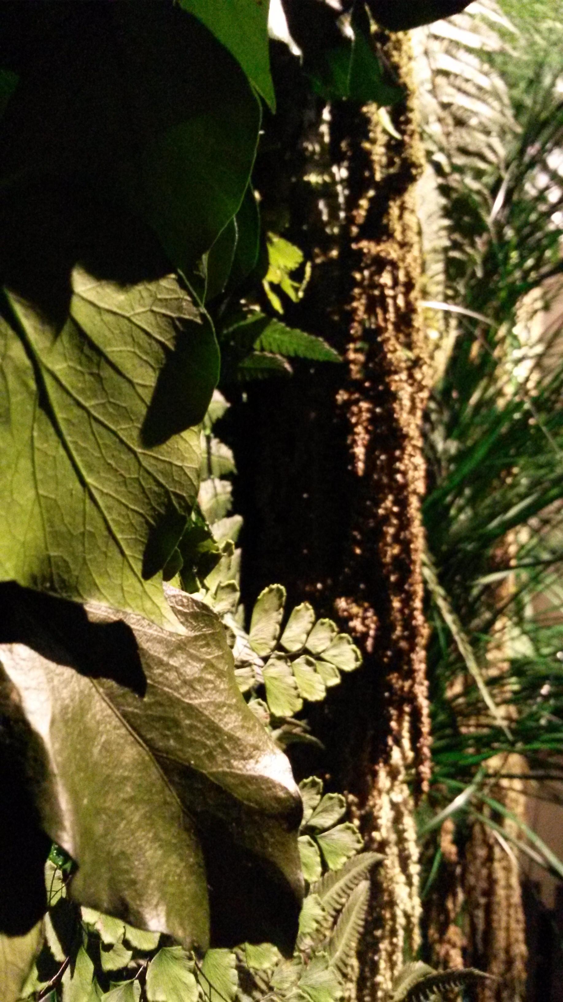 ryvesto foresta wall - foto 5