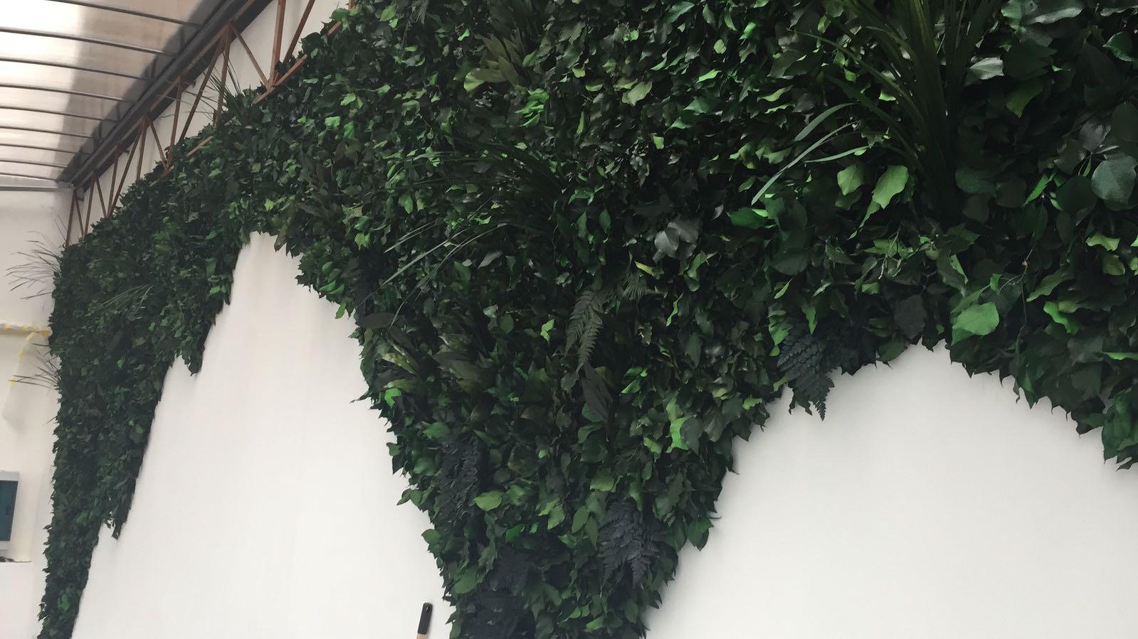 ryvesto mediterranea wall - foto 2