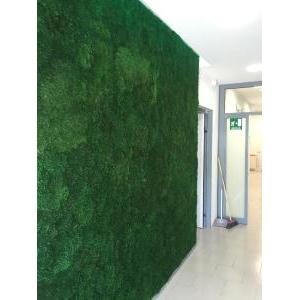 Moss wall flat
