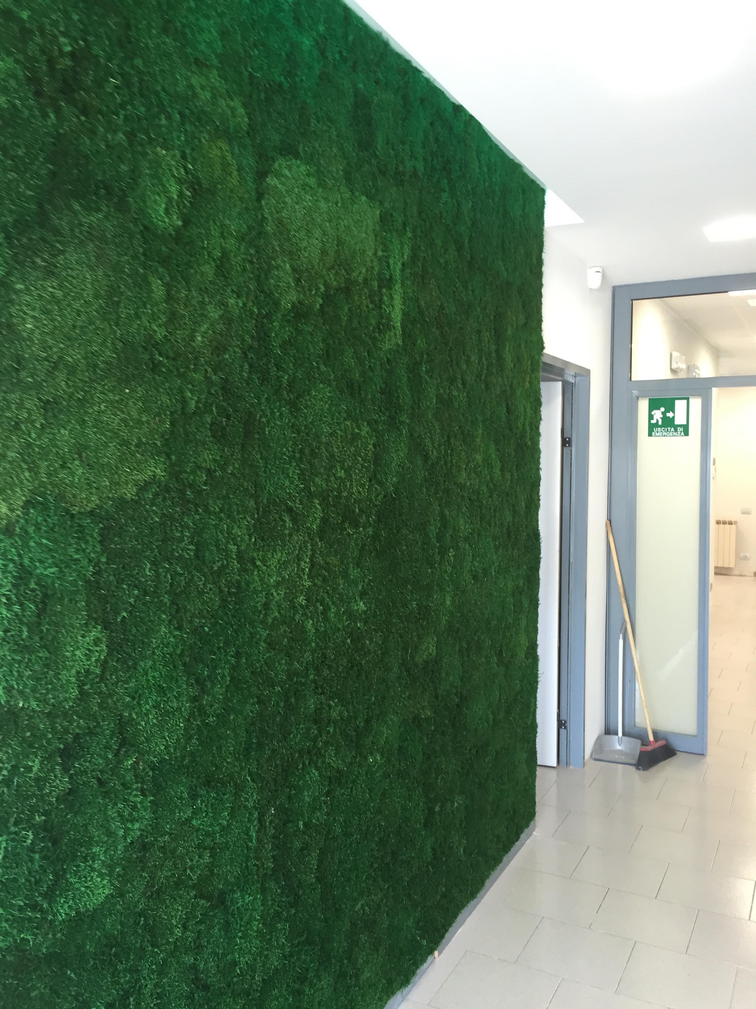 ryvesto moss wall flat - foto 1