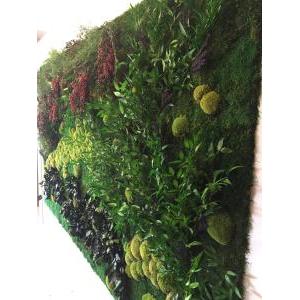 Moss wall flat with leaves