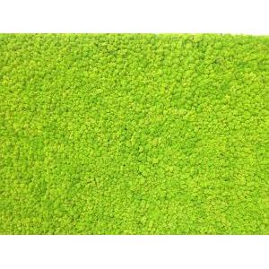 Moss wall lux