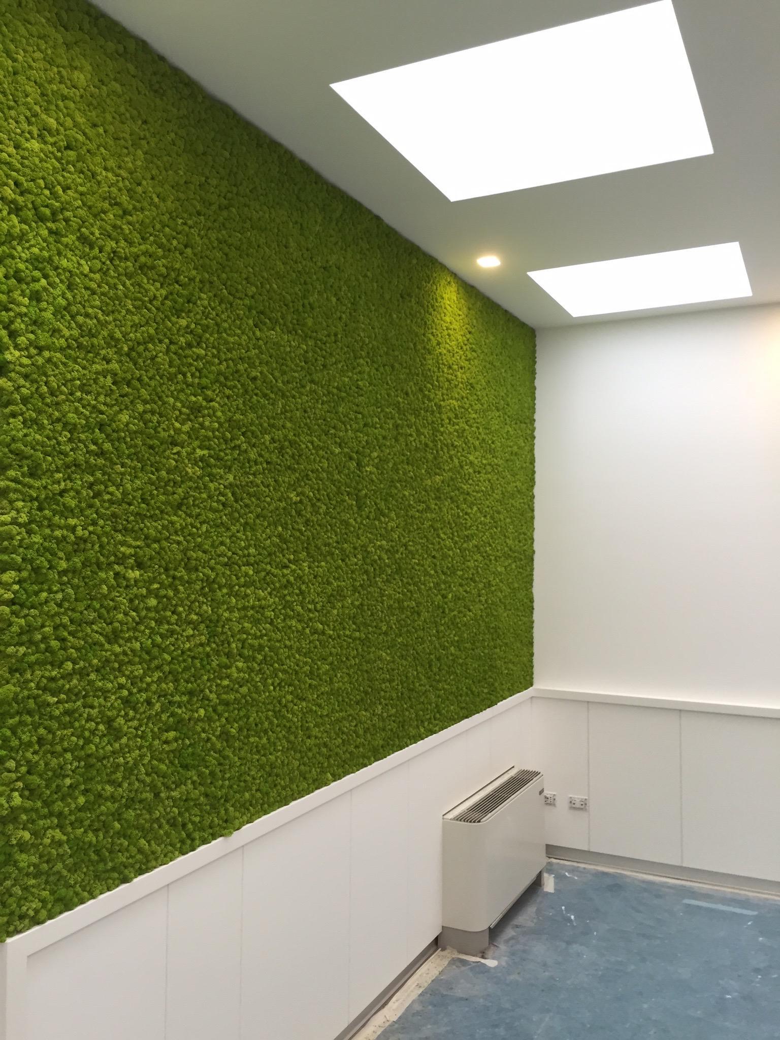 ryvesto moss wall premium - foto 1