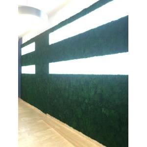 Moss wall standard