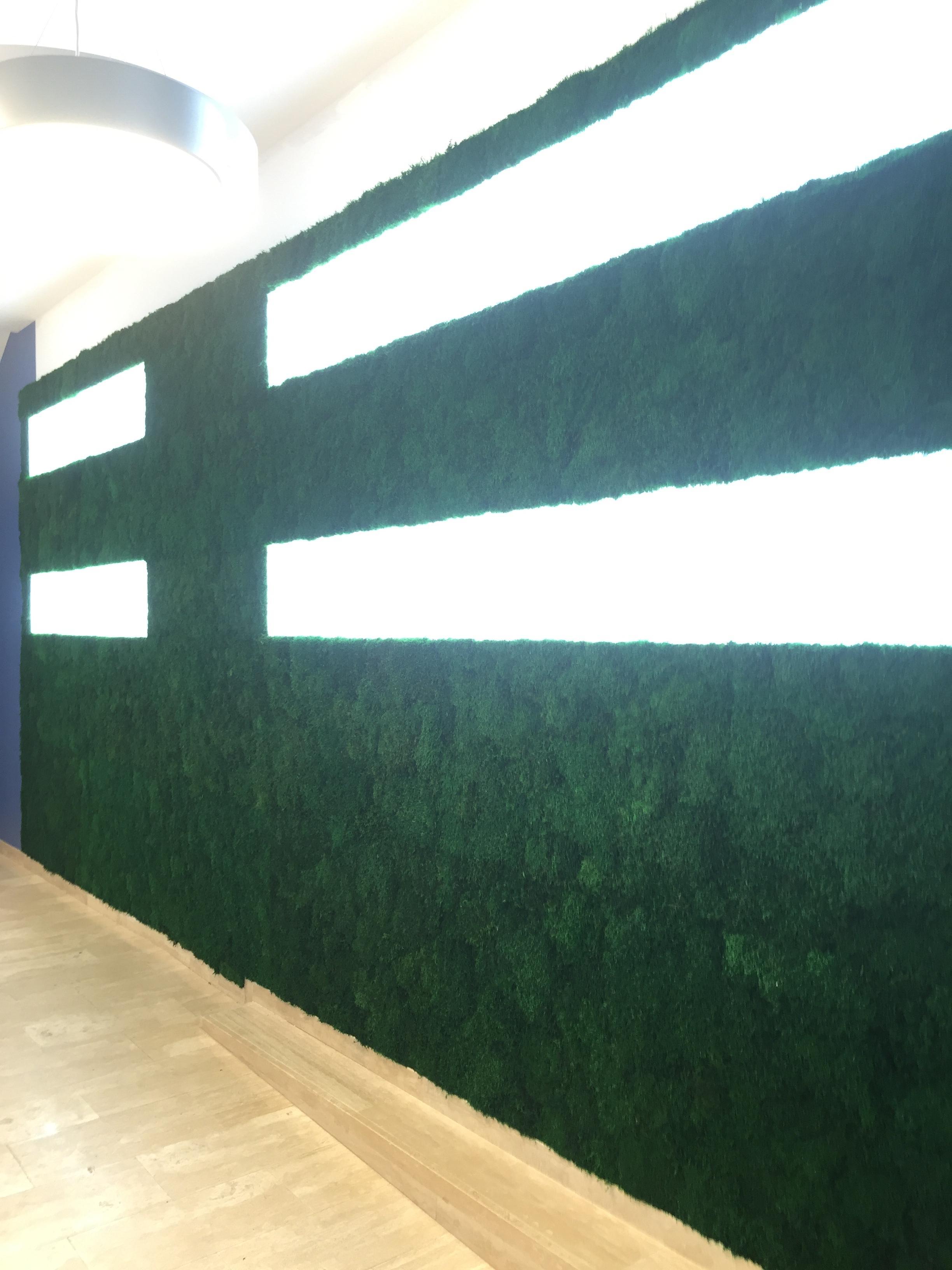 ryvesto moss wall standard - foto 1