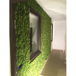 Polemoss wall