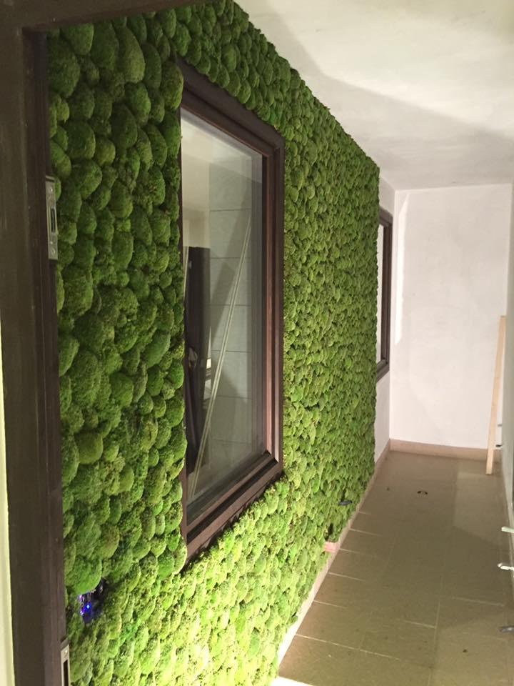 ryvesto polemoss wall - foto 1