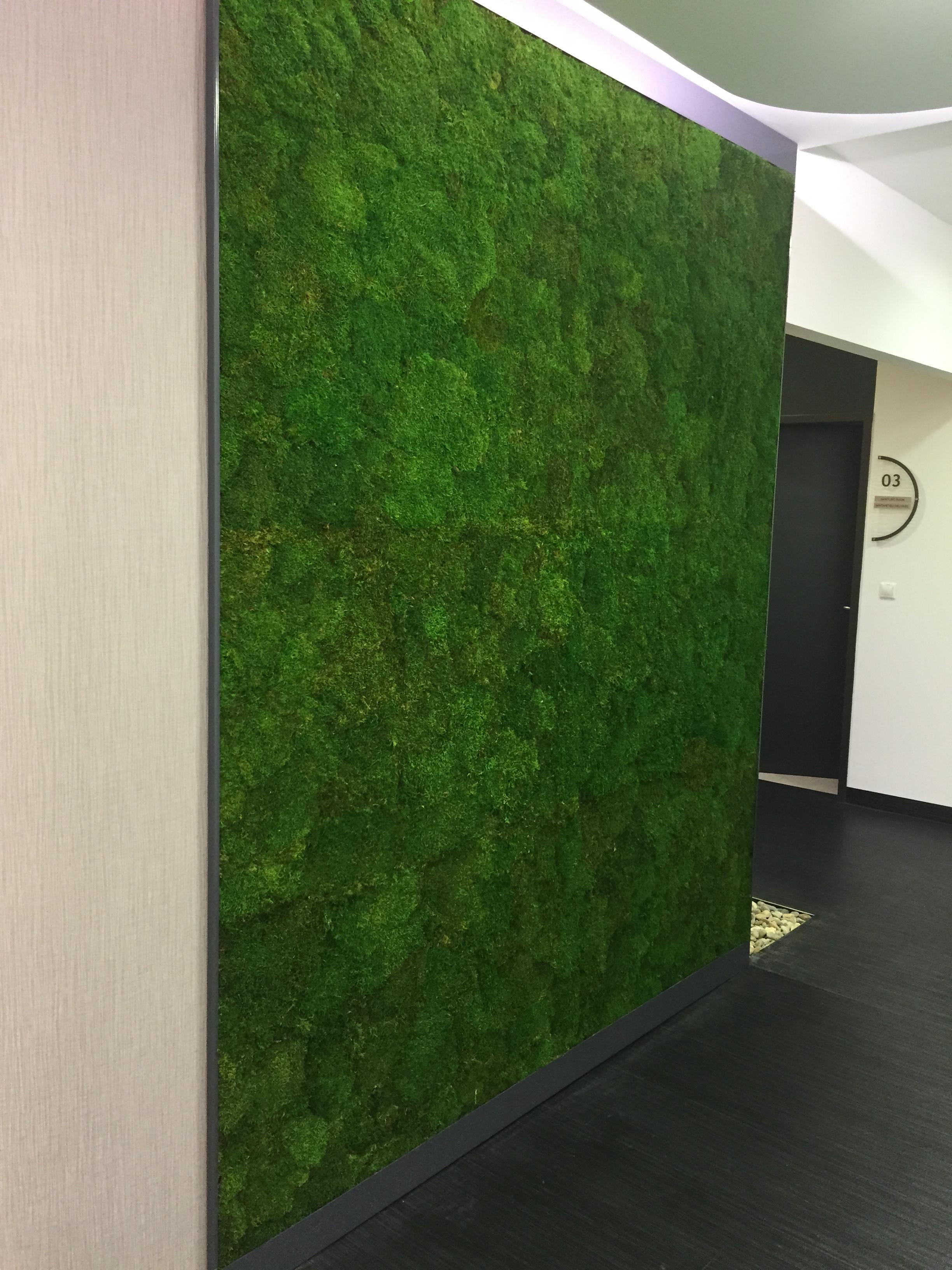 ryvesto flat moss wall fr - foto 3