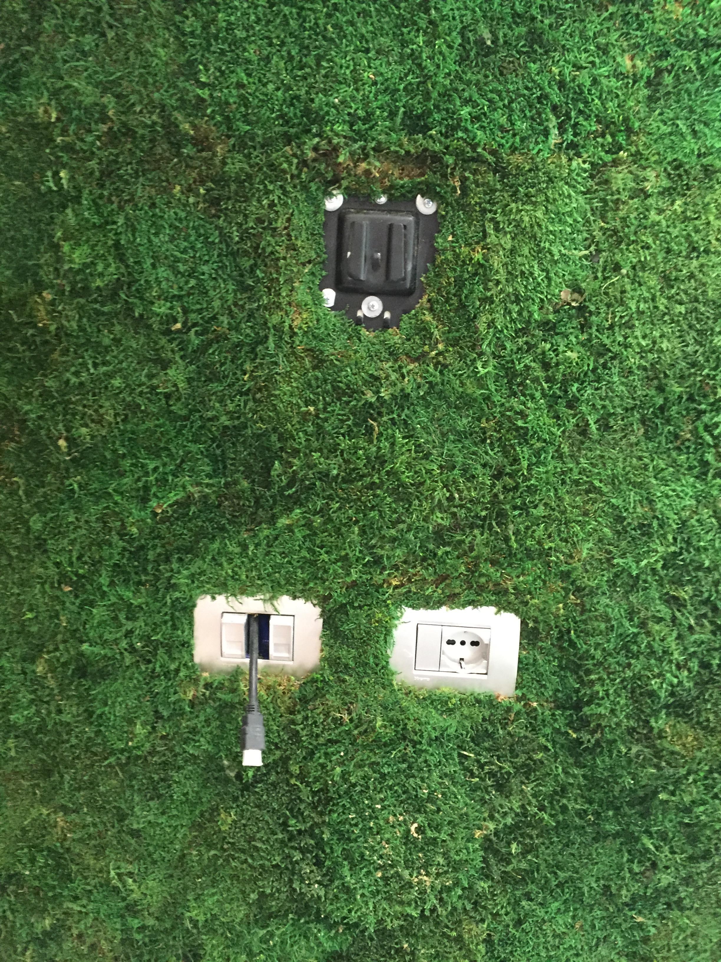 ryvesto flat moss wall fr - foto 5