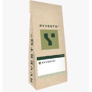 Ryvesto ryvestone - one - resina in polvere monocomponente colabile - kg 6